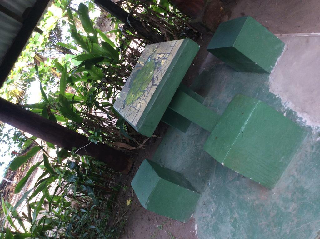 Cabinas Balcon Del Mar Tortuguero Kültér fotó