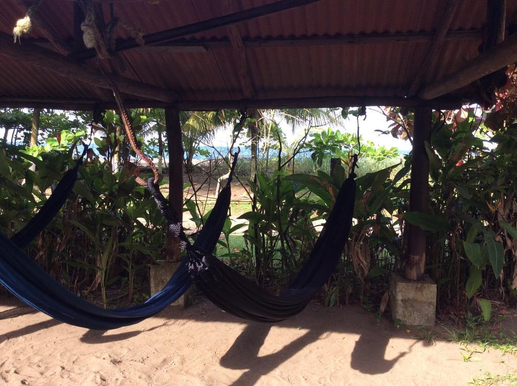 Cabinas Balcon Del Mar Tortuguero Kültér fotó